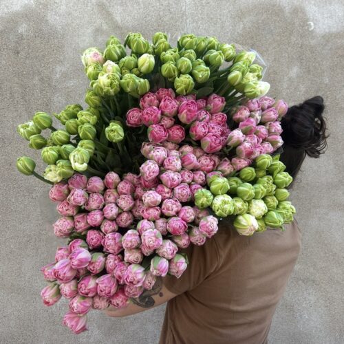 La brassée de tulipes