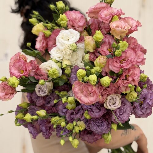 Lisianthus Pays